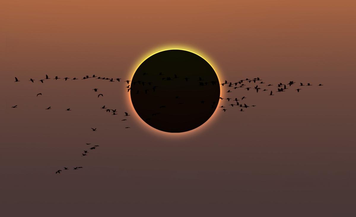 No eclipsin l’eclipsi