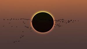 No eclipsin l’eclipsi