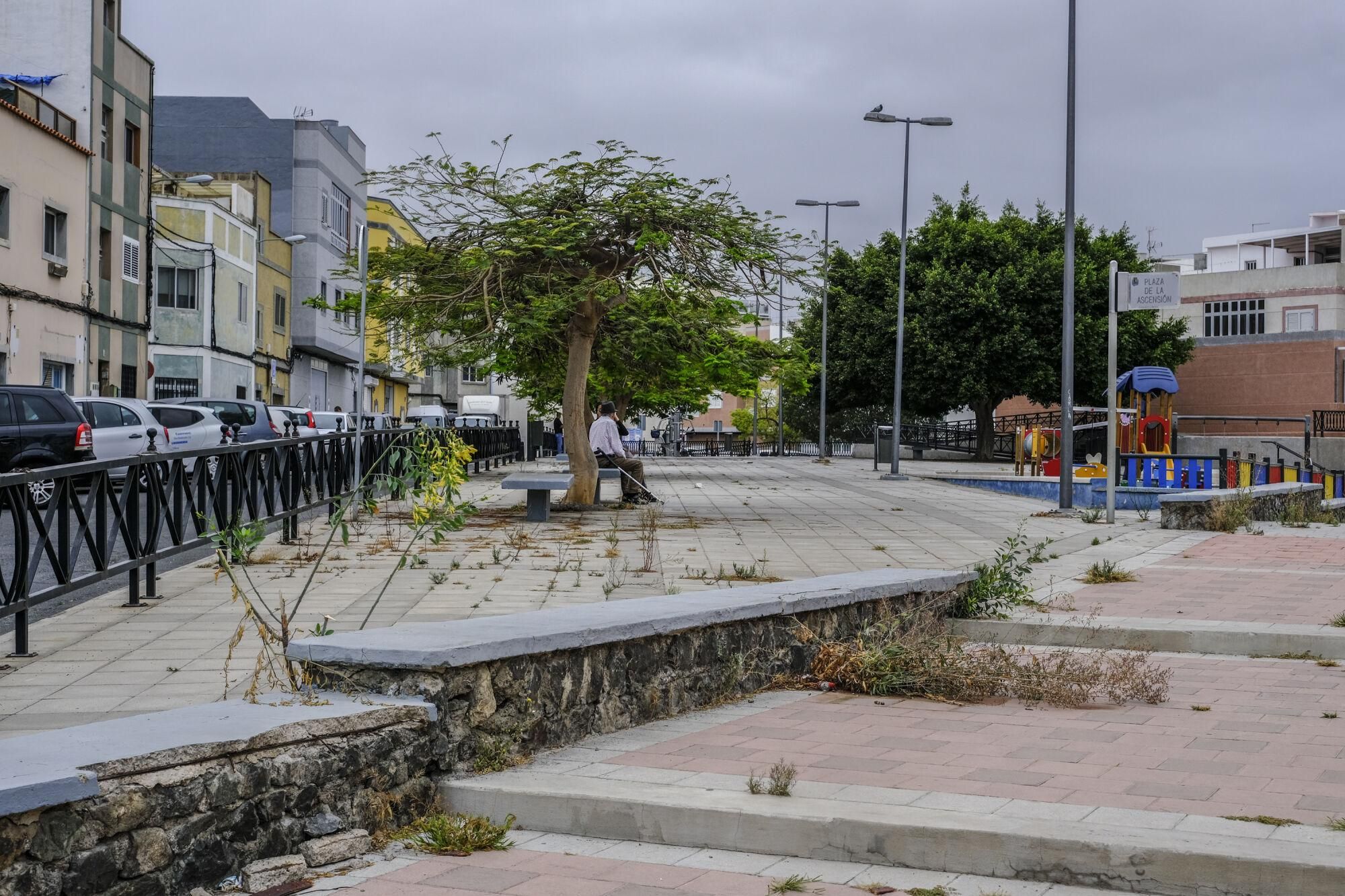 Mal estado de las zonas verdes en Las Torres