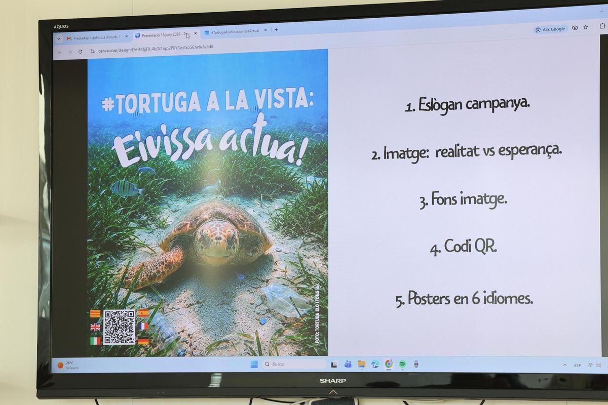 Galería: alumnos del Quartó de Portmany presentan su campaña sobre la bahía y las tortugas