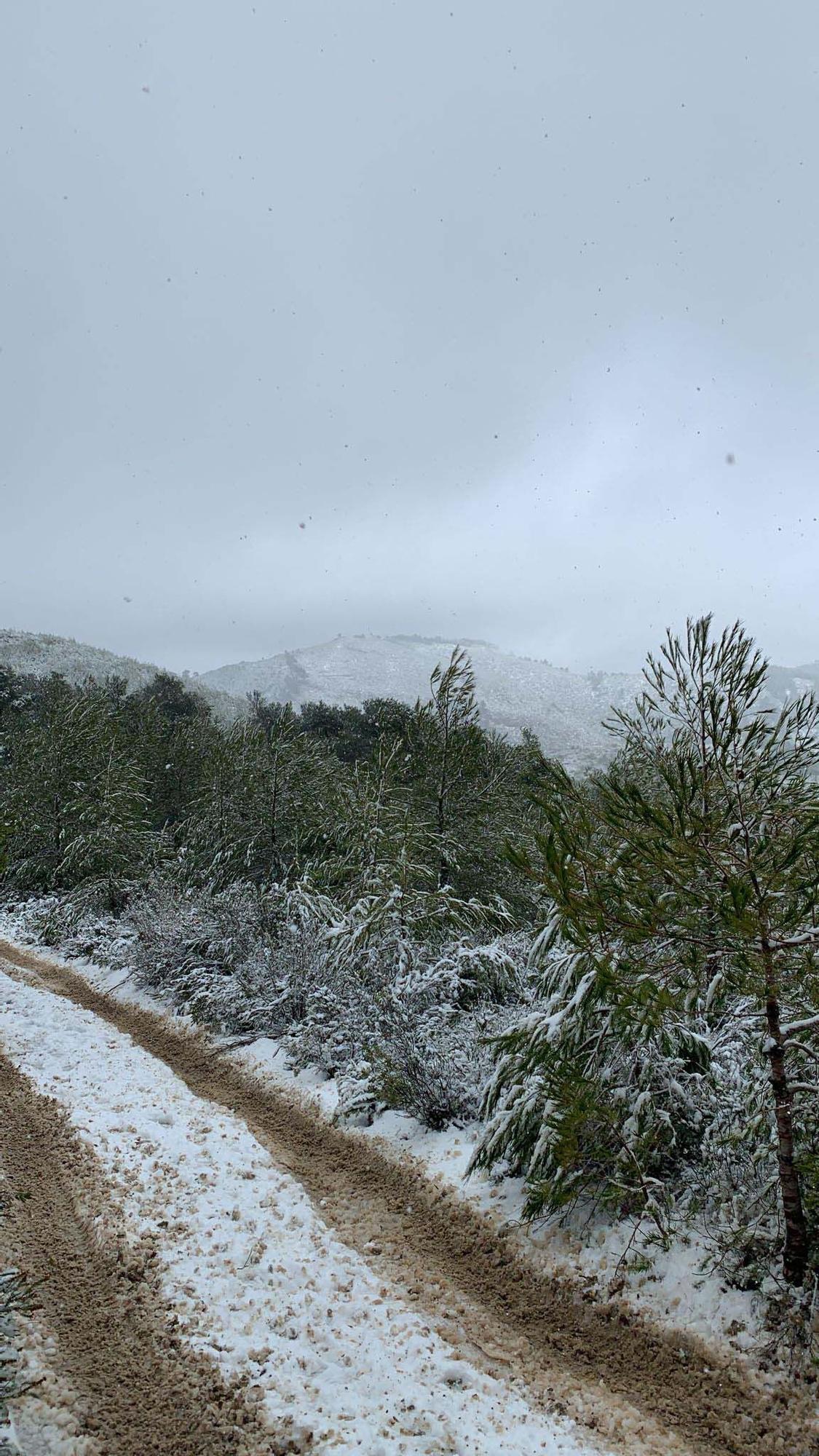 Galería de imágenes de la nevada por la borrasca Juliette en Ibiza