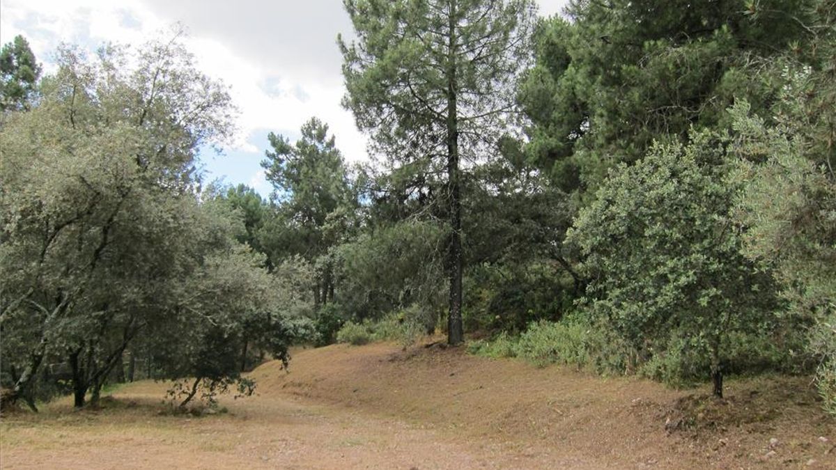 Imagen de archivo del parque periurbano de Los Villares.