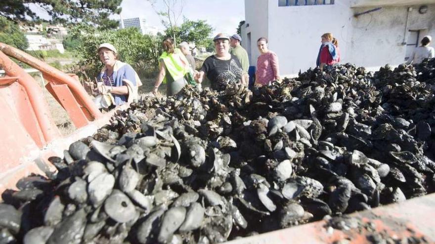 Mariscadores, ante uno de los contenedores repletos de mejillón.