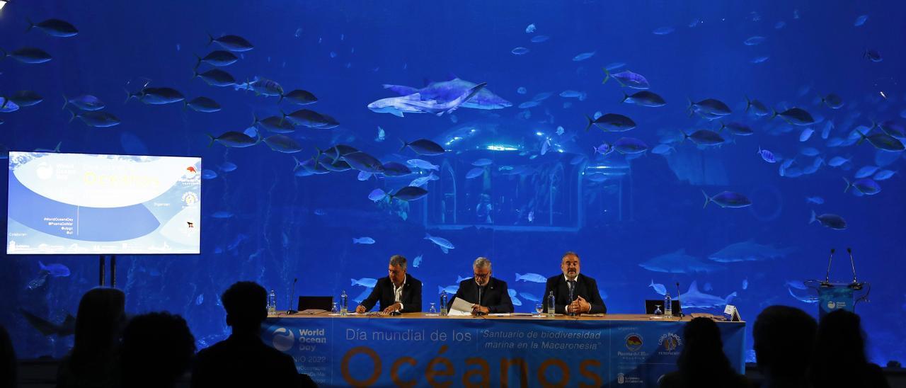 El rector de las universidad de Las Palmas de Gran Canaria, Lluis Serra (c); el director de la Fundación Loro Parque, Javier Almunia (d); y el director del Instituto Universitario de Sanidad Animal y Seguridad Alimentaria (IUSA), Antonio Fernández (i), inauguraron este miércoles una jornada con motivo de la celebración del Día Mundial de los Océanos, organizada por el Acuario Poema del Mar y la Fundación Loro Parque