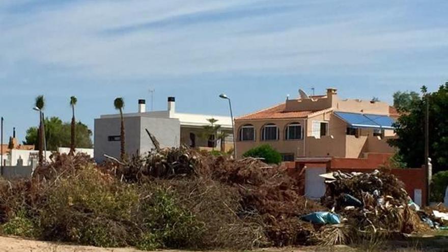 «Torrevieja está más sucia que nunca»