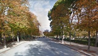 Madrid crea un servicio para evaluar el estado de 545.000 árboles