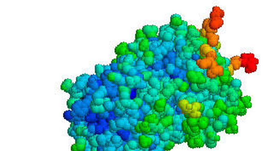 Descubren el potencial antitumoral de una molécula que inhibe la coagulación de la sangre