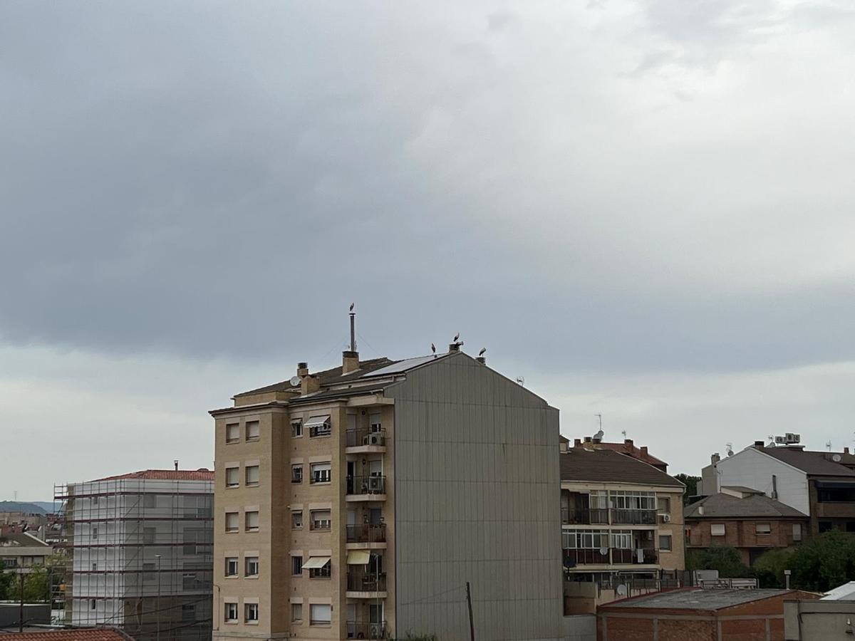 Un estol de cigonyes per Manresa Un estol de cigonyes per Manresa
