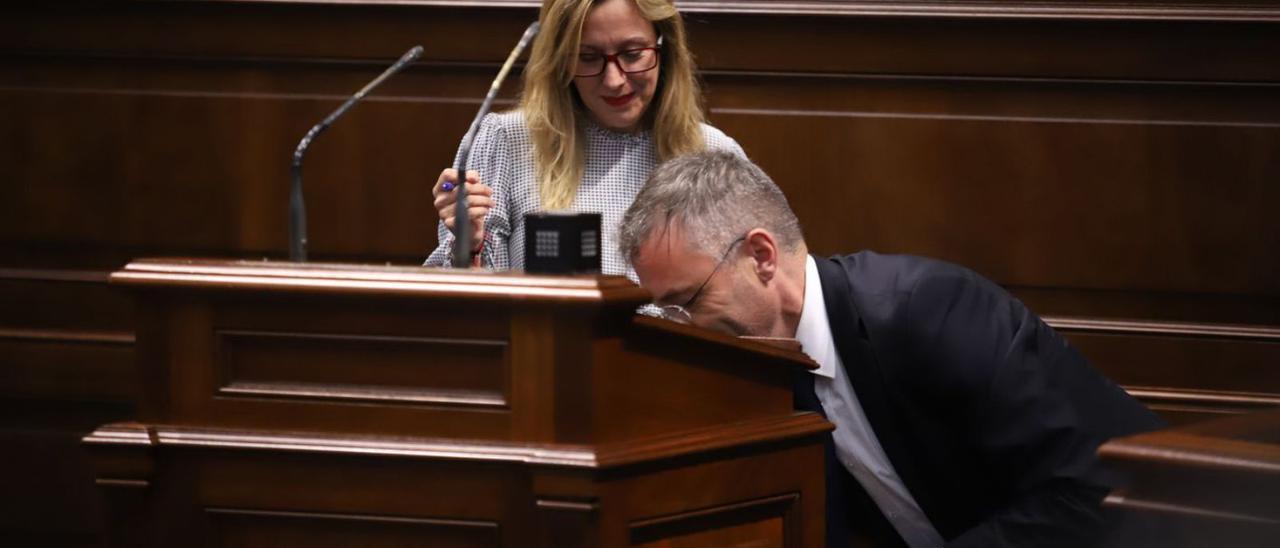 La diputada de Coalición Canaria, Rosa Dávila, en la tribuna del Parlamento en el pleno de esta semana. |