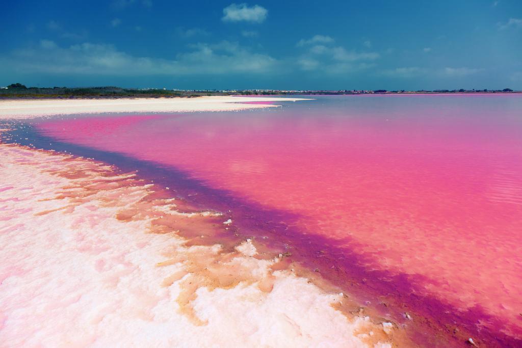 Esta es la única laguna rosa de todo el Mediterráneo, y está en España.
