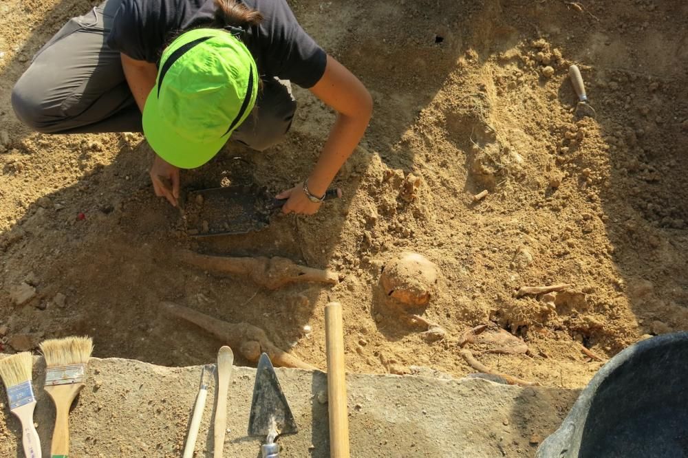 Segundo día de trabajos de exhumación en la fosa de Porreres