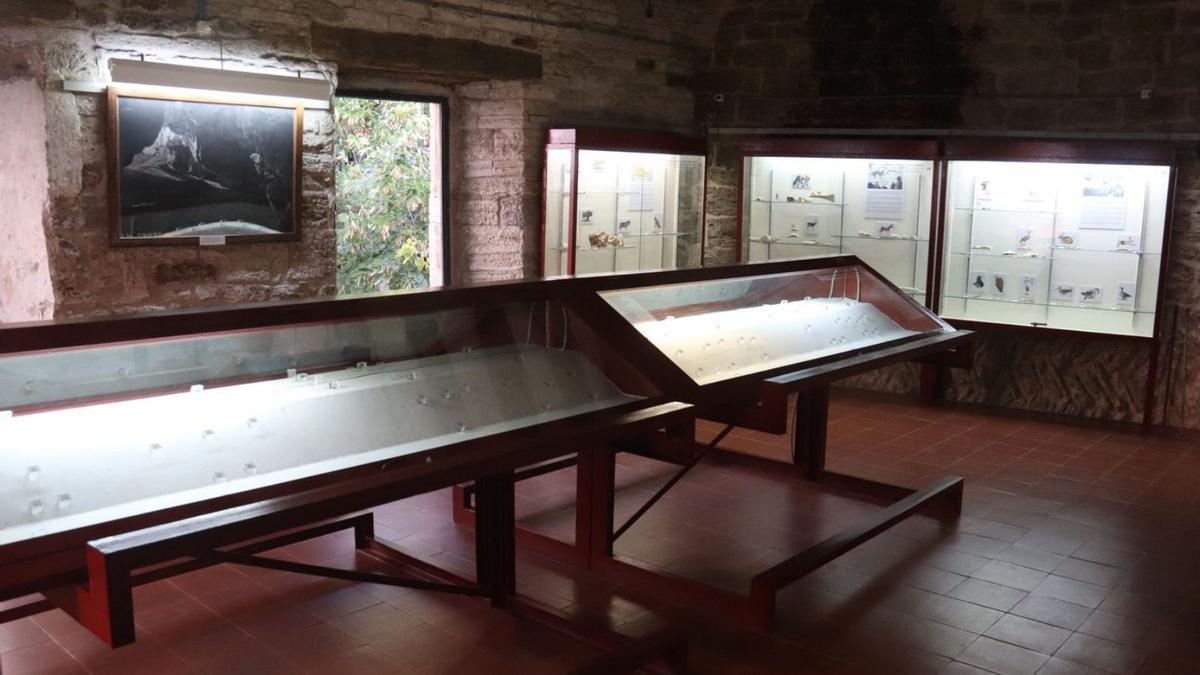 Una de les sales expositives del Museu Arqueològic de Banyoles, amb algunes vitrines buides. | ACN