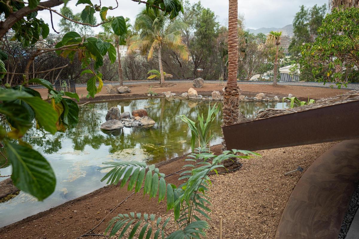 Palmétum, en el municipio de Santa Cruz de Tenerife.