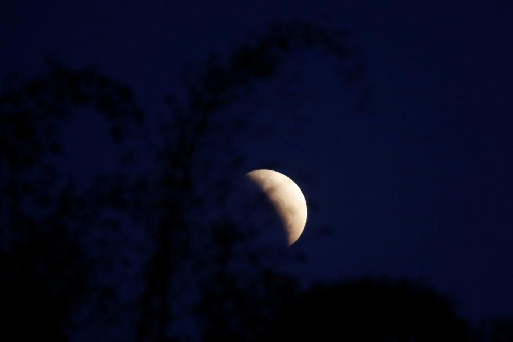 Les millors imatges de l'eclipsi parcial de lluna