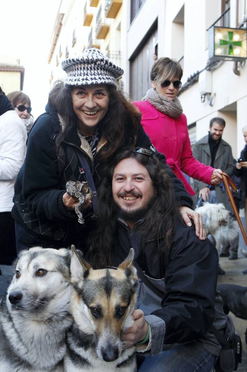 Fotogalería: Fiesta de San Antón