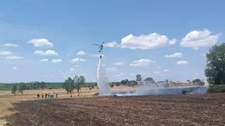 Controlado un incendio forestal en la comarca de Sayago