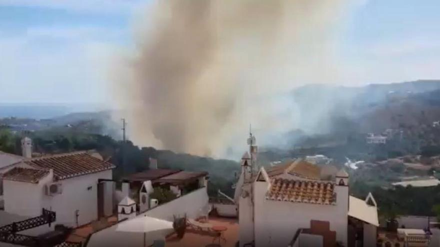 Incendio forestal declarado en Frigiliana.