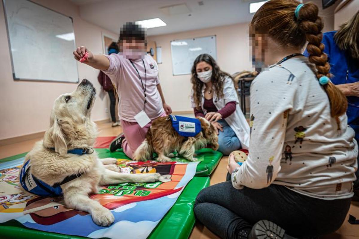 Terapia con perros, en el hospital de día de niños, en el Clínic