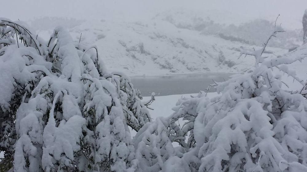 Ola de frío y nieve en Asturias