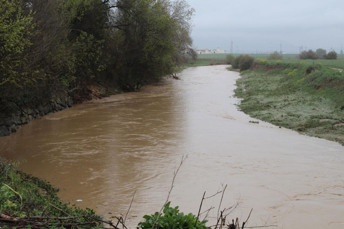 El río Guadalhorce, crecido tras el paso de la borrasca Celia.