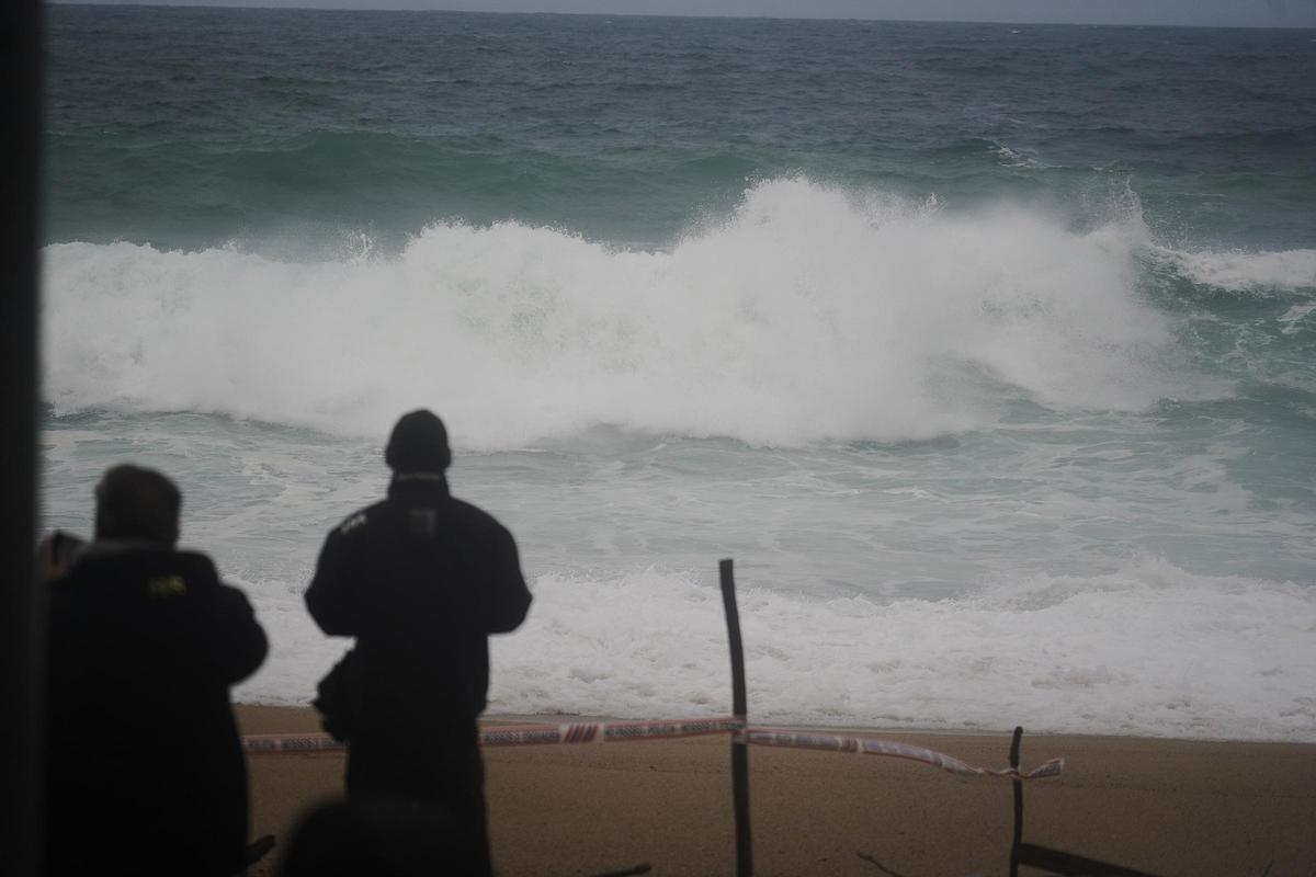 Imatges de la balena morta arrossegada pel temporal a la costa de Platja d'Aro