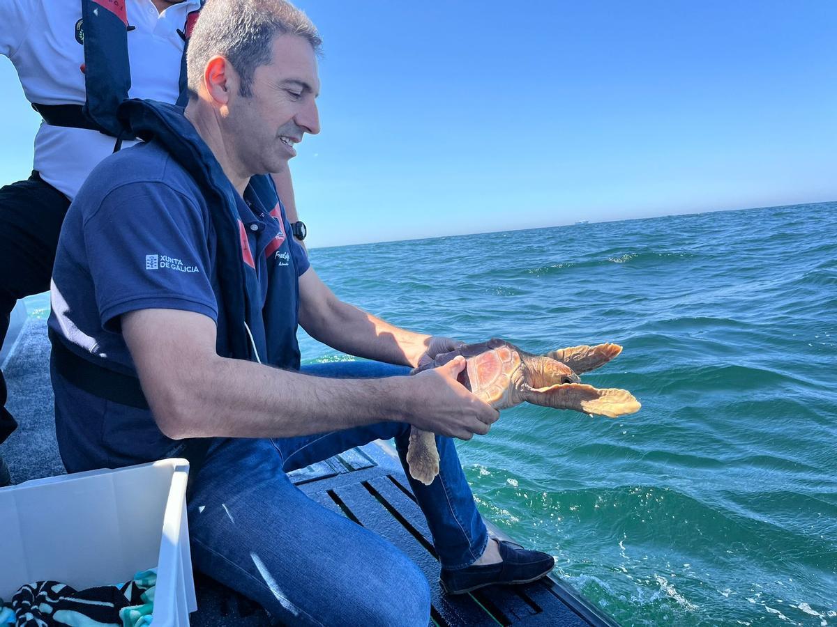 El conselleiro do Mar, Alfonso Villares, liberando ayer a una de las tres tortugas marinas en aguas de Sálvora.