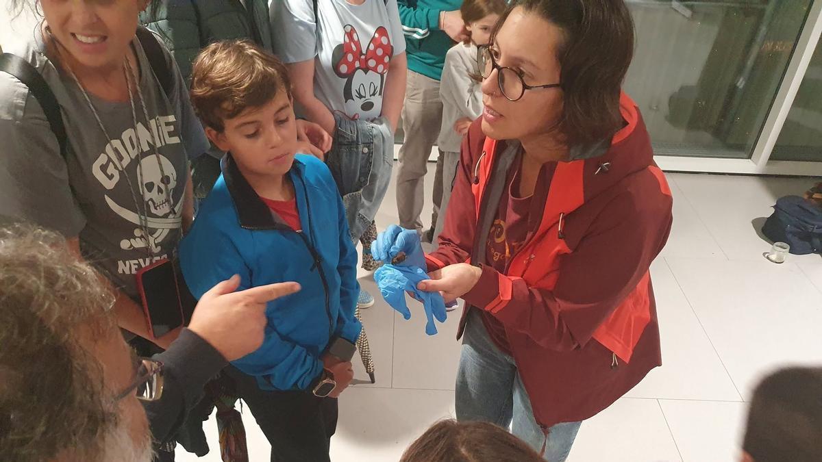 Mostrando un ejemplar de murciélago en la edición anterior de la Noite dos Morcegos.