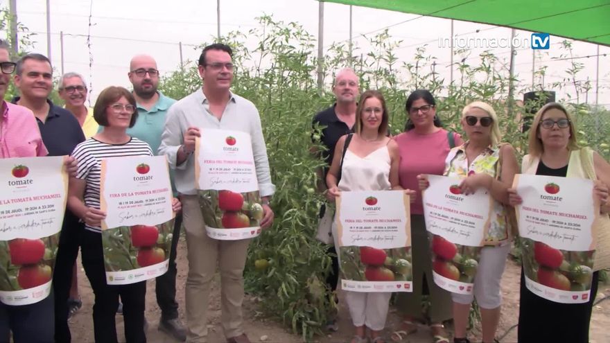 Mutxamel inicia la campaña de plantación de tomate 2025