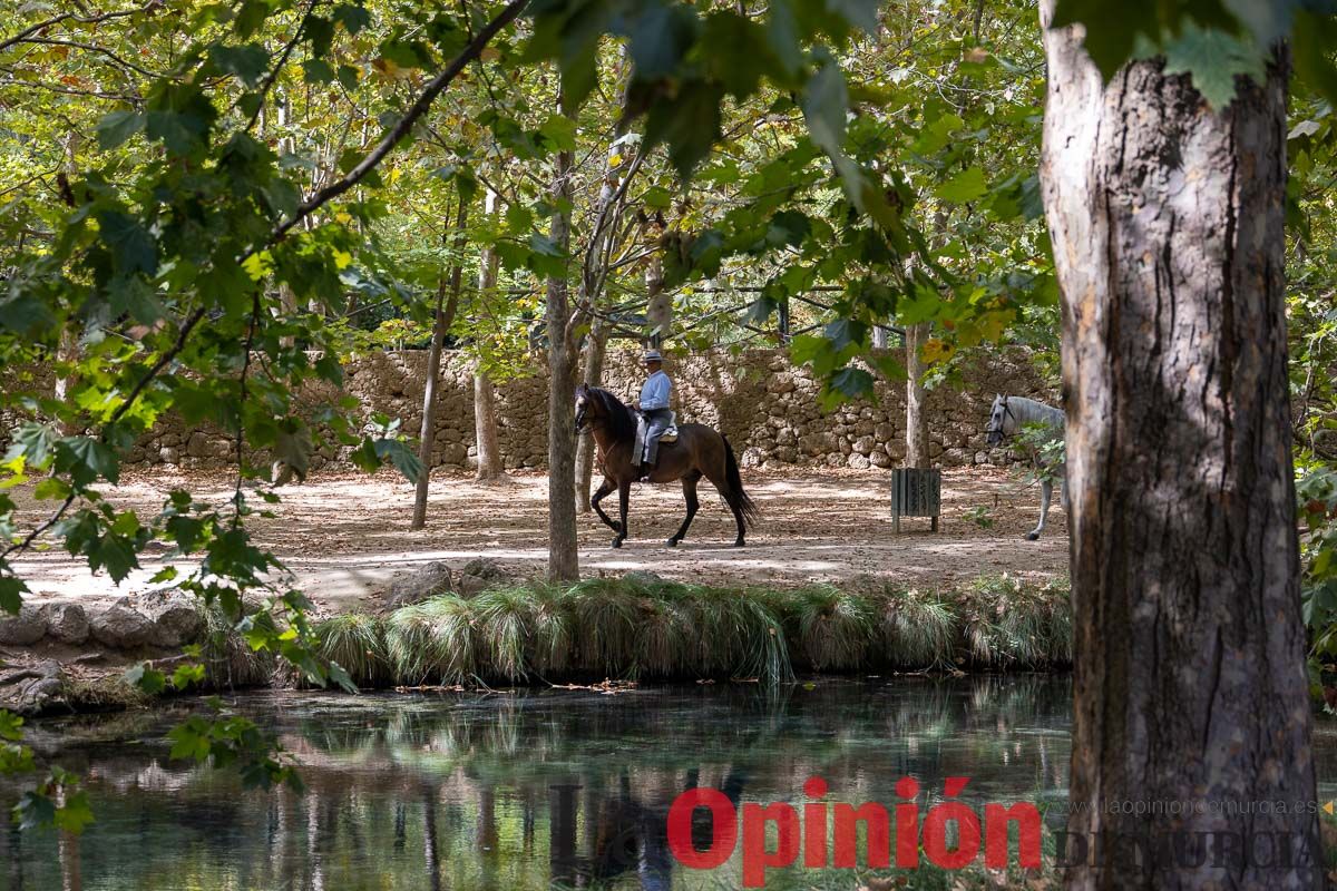 Romería del Bando de los Caballos del Vino