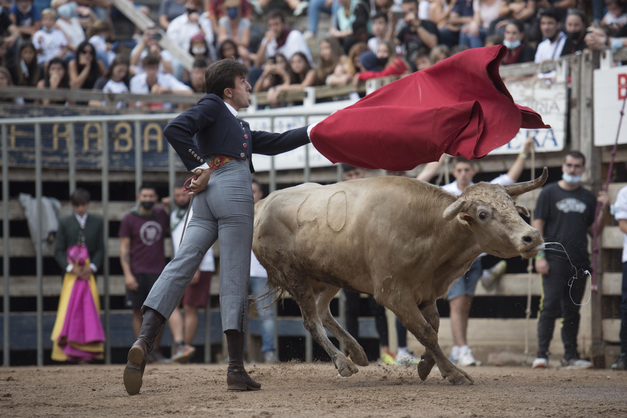 Les millors imatges del Corre de Bou de Cardona