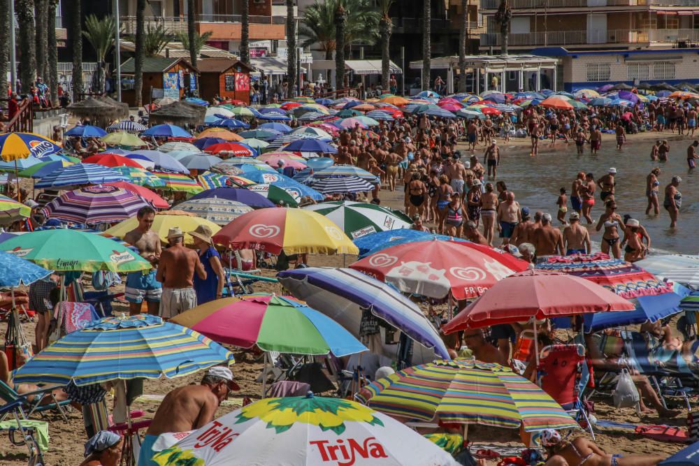 El buen tiempo y las buenas condiciones marítimas siguen animando a pasar la jornada en la playa pese a que desde hace tres semanas no hay servicio de socorrismo en Torrevieja