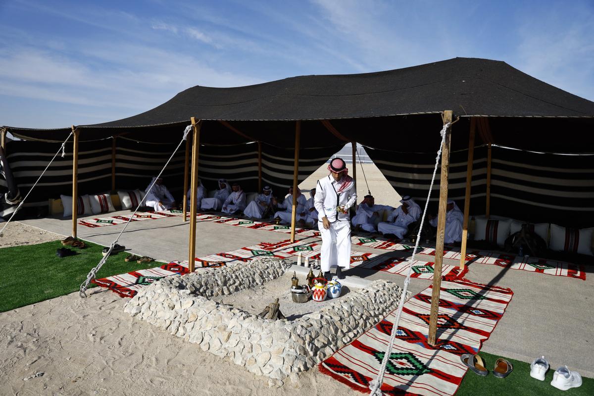 Concurso de belleza de camellos en Qatar