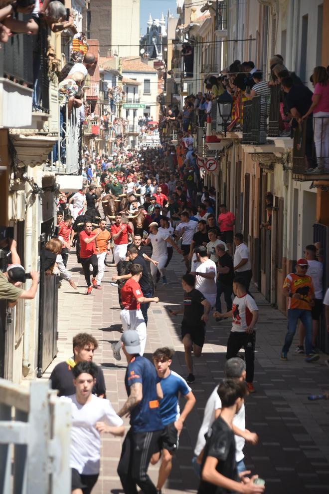 Galería | Vive el momento más tenso del encierro de cerriles en Almassora