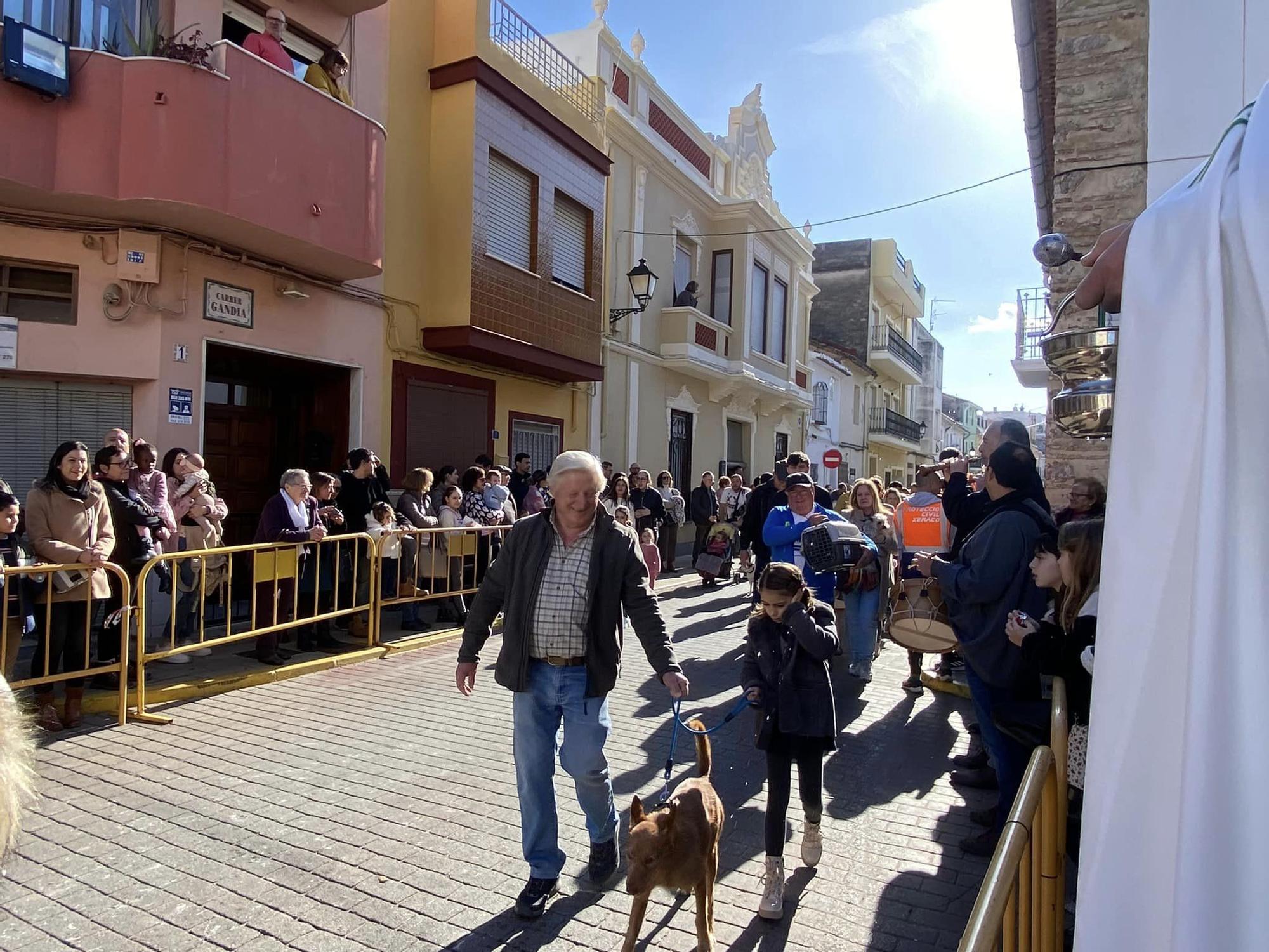 Daimús, Guardamar, Xeraco, l'Alqueria, Piles y Xeraco se vuelcan con Sant Antoni