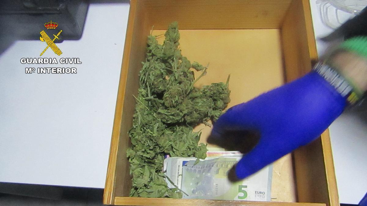 Parte de la marihuana incautada por la Guardia Civil.