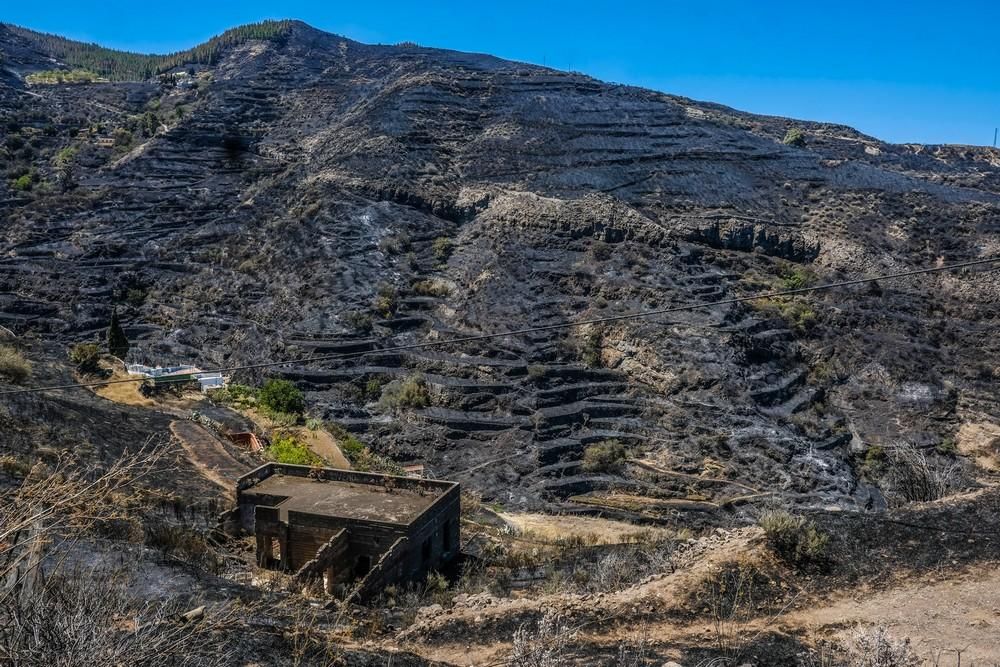 Incendio en Gran Canaria | Zonas afectadas en las medianías de Gáldar y en Artenara