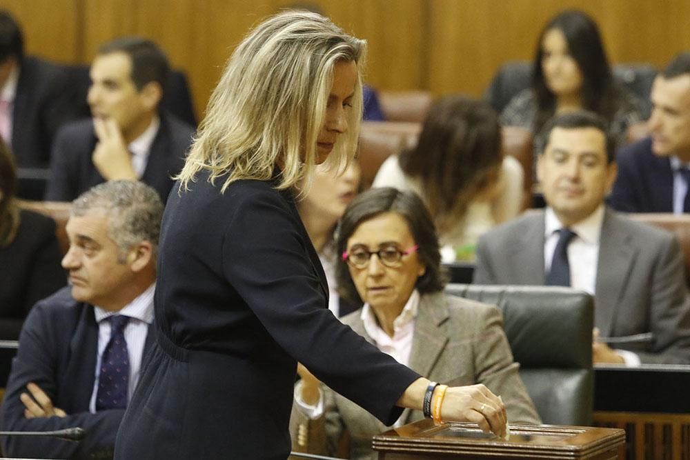 Apertura de legislatura en el Parlamento Andaluz