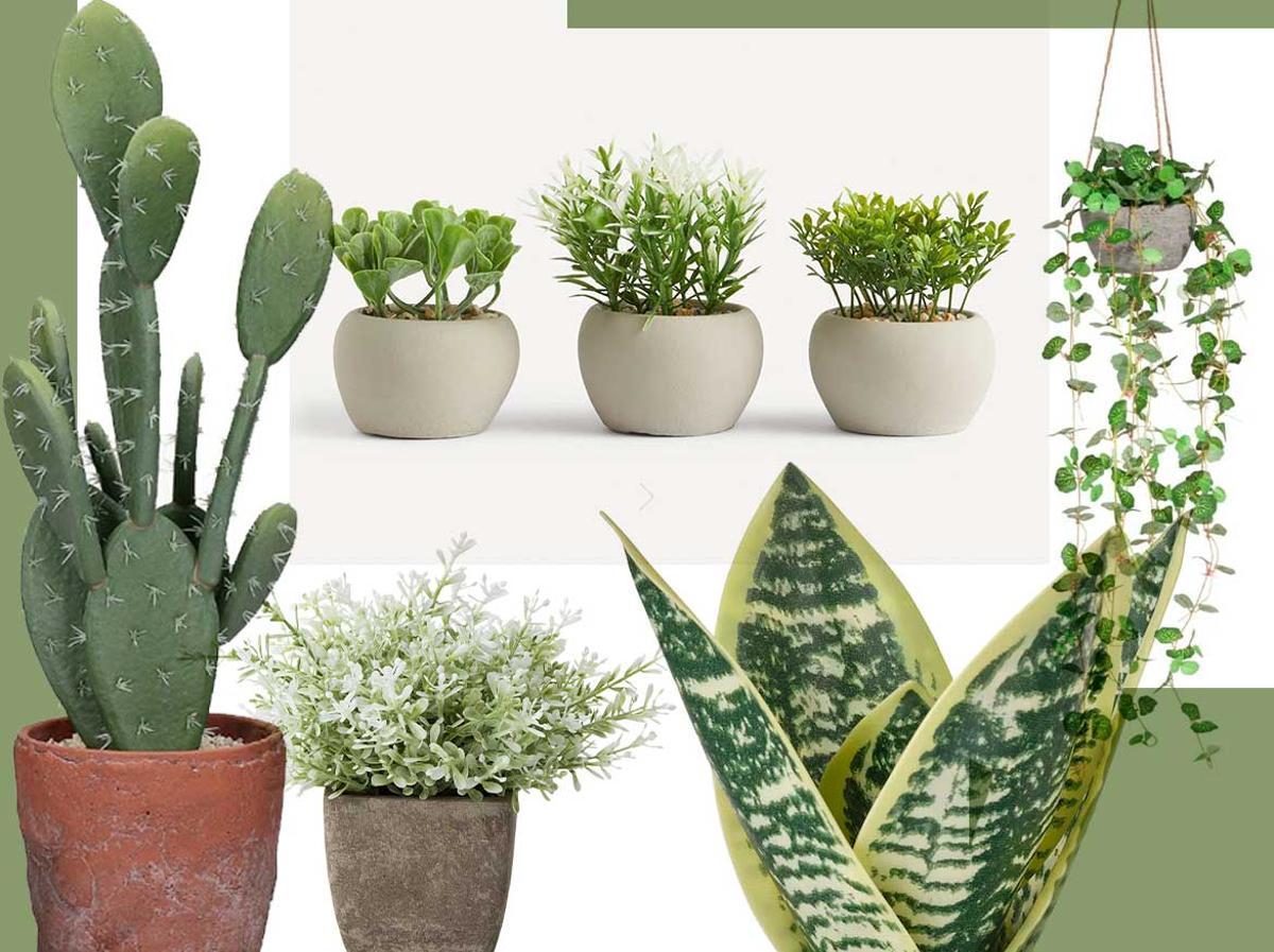 Las plantas artificiales son una compra habitual.