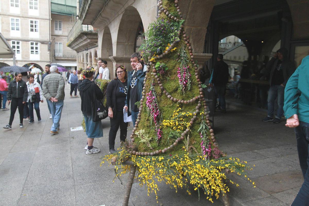 Las flores silvestres, a pleno color en primavera, dan vida a los maios Las flores silvestres, a pleno color en primavera, dan vida a los maios