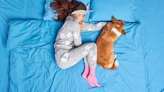Enfermedades que puedes desarrollar si duermes con perros o gatos