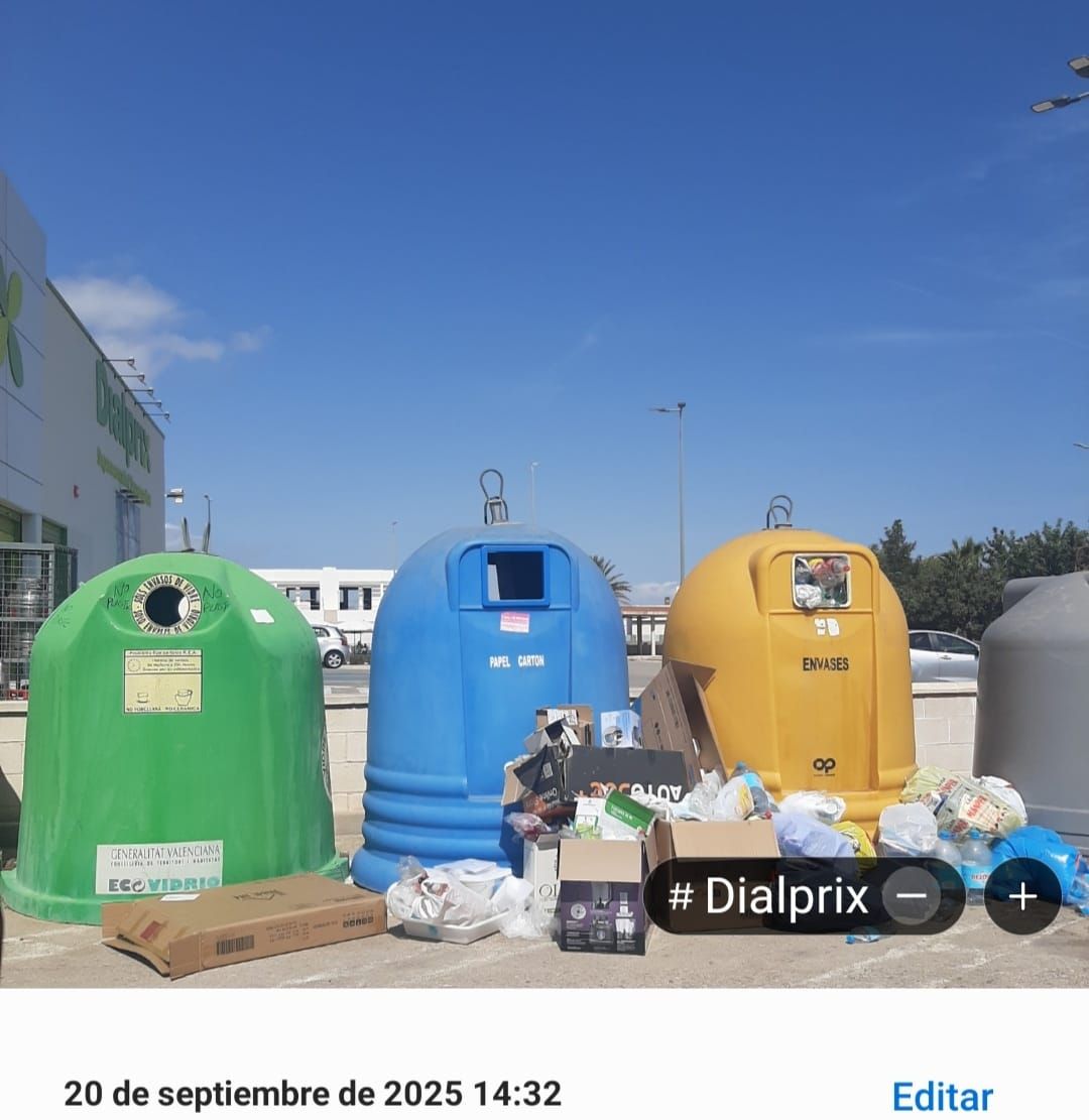 Imágenes captadas por los vecinos de contenedores desbordados