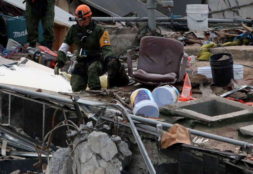 Un equipo internacinal trabaja en el rescate  del edificio de la calle Álvaro Obregón, donde se encuentra Jorge Gómez Varo.