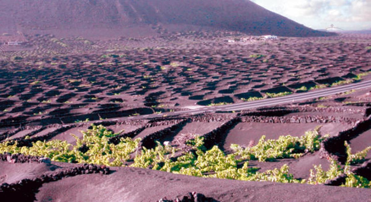 Lugar donde estaban la aldea y e cortijo de La Geria.