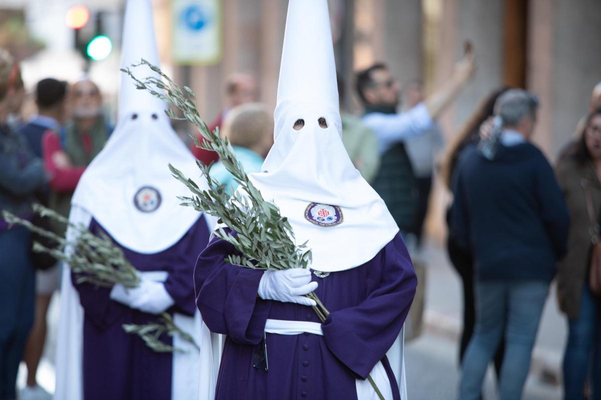 Semana Santa 2023 | La procesión de Domingo de Ramos en Palma