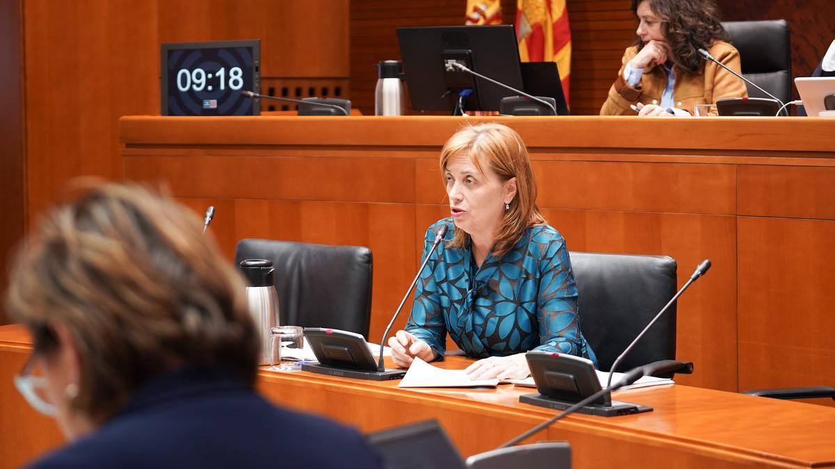 Nuria Gayán, este miércoles, durante la comisión de Sanidad.