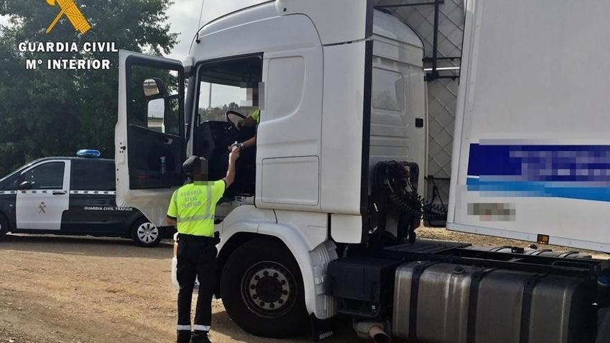Investigados un empresario y un camionero por manipular el tacógrafo de un camión de ganado