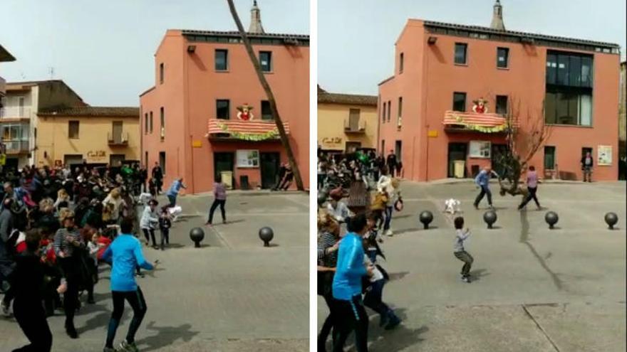 Video: La tallada de l'arbre de Maig de Cornellà del Terri gairebé acaba amb tragèdia