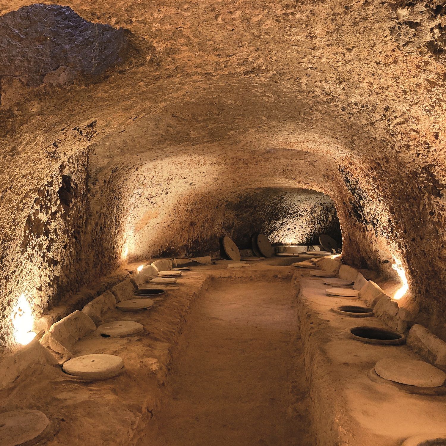 Celler del Roure, bodega Fonda.