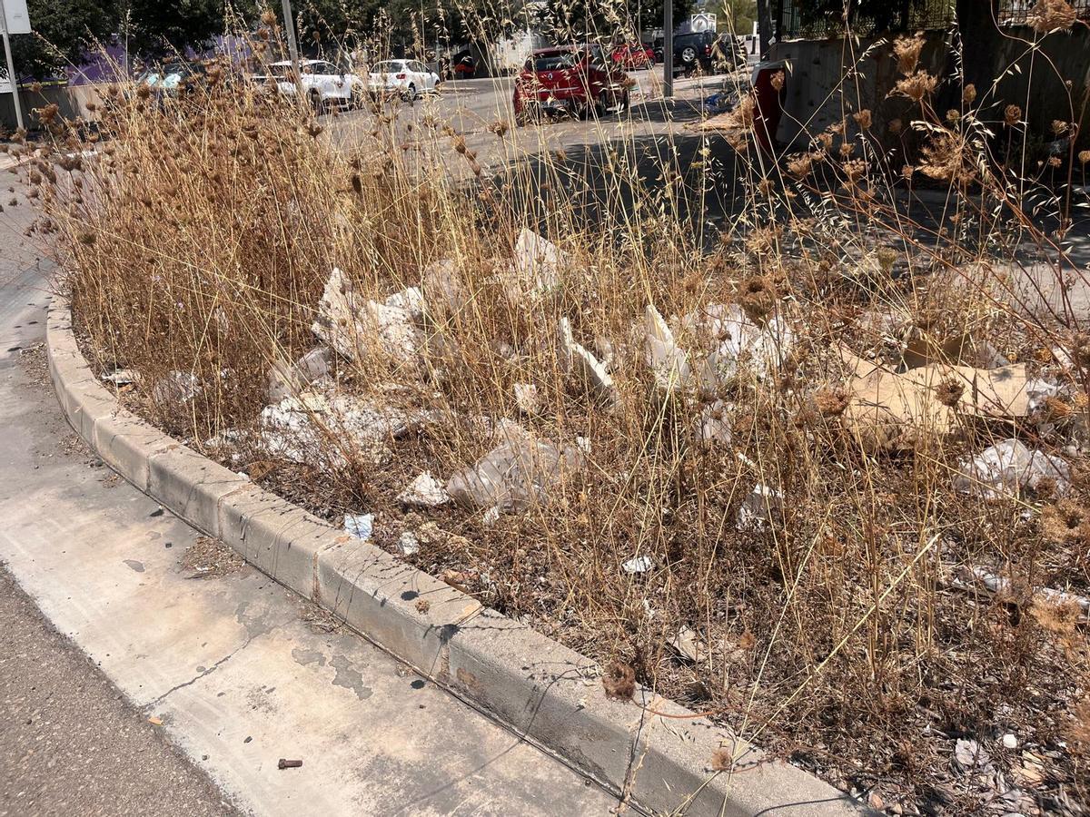 Así se encuentra la carretera de acceso al polígono de Ses Veles, donde se encuentra la planta de Son Reus.