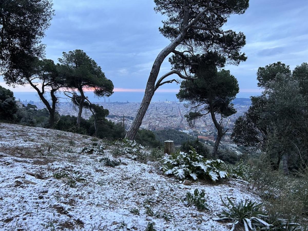 Nieva en Collserola